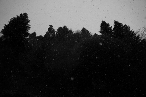  - Image 4 of 8