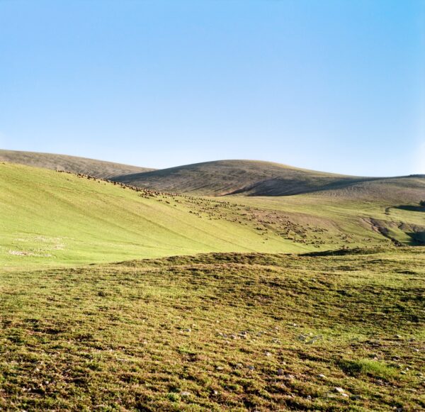  - Image 2 of 8