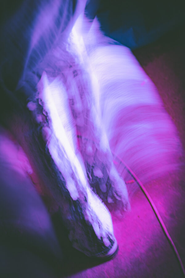  - Image 6 of 8
