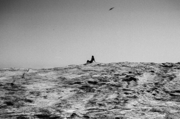  - Image 7 of 8
